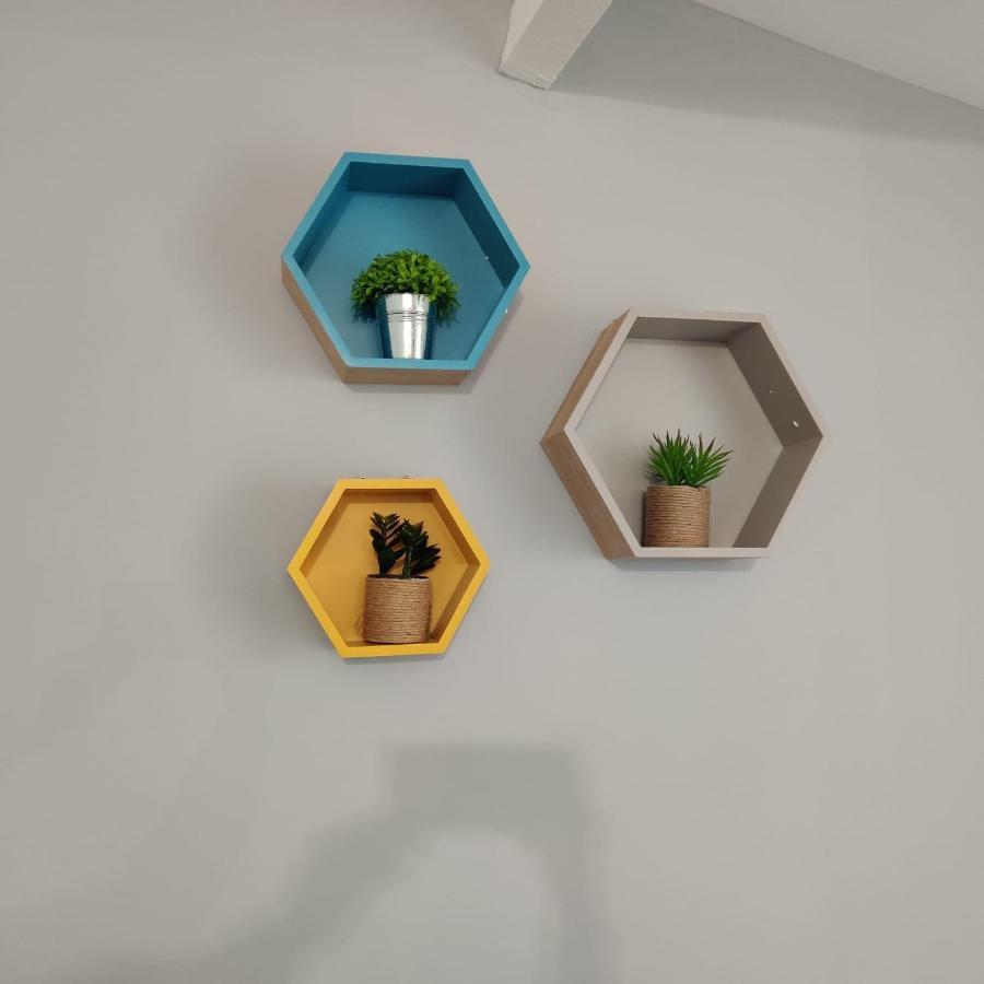 Appartement Nouvel Oasis Toulouse Minimes Extérieur photo